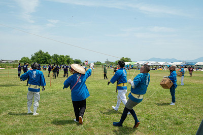 Des personnes courent sur une pelouse pour faire voler des cerf-volants