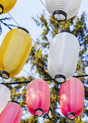 Lanternes dans les arbres pour la fête japonaise de Hanami