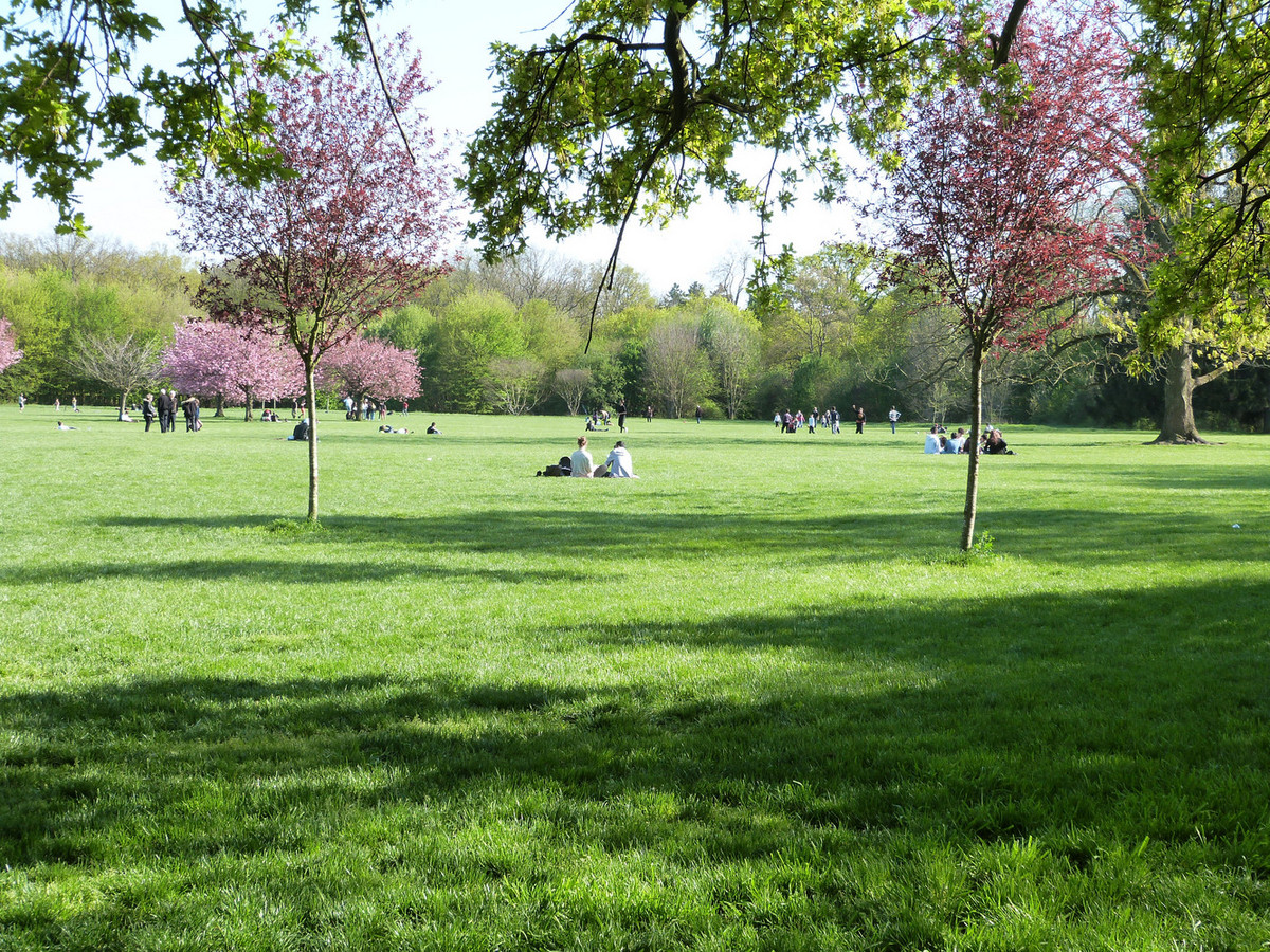 Le parc aujourd'hui - Domaine départemental de SCEAUX