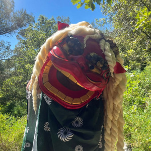 Marionnette repr&eacute;sentant le shishi ou lion traditionnel, dansant en plein air