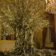 5-noel-au-chateau-decors-arbre-illumine.jpg