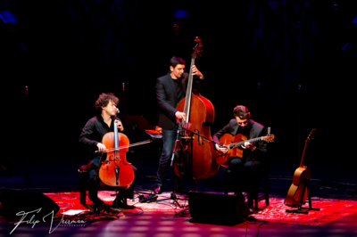 Le trio sur sc&egrave;ne avec leurs instruments : de gauche &agrave; droite, le violoncelliste Fran&ccedil;ois Salque, le contrebassiste J&eacute;r&eacute;mie Arranger, et le guitariste Samuel Strouk