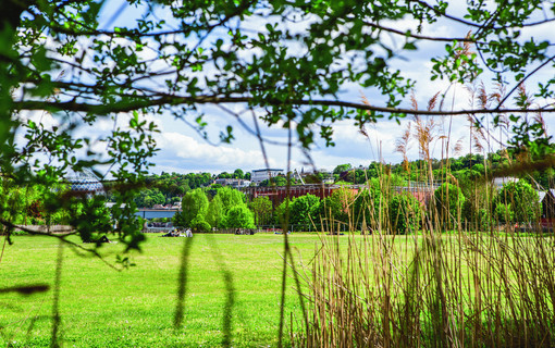 Exposition Natures urbaines. Un autre regard