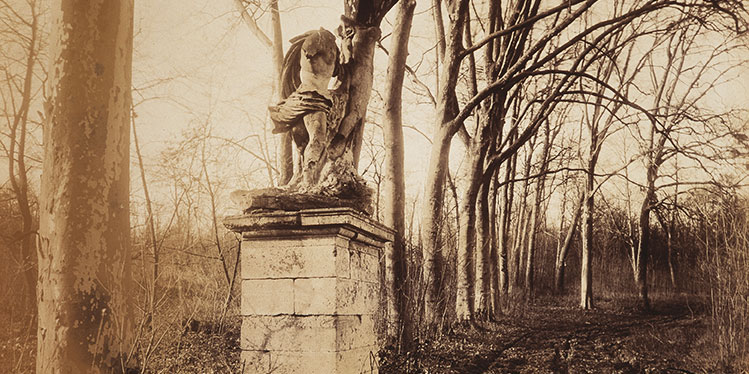 Statue près du Bassin de l’Octogone : Apollon et Daphné, 8h du matin, mars 1925.